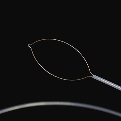 Jaw Type Farikoloɲanagwɛlaw